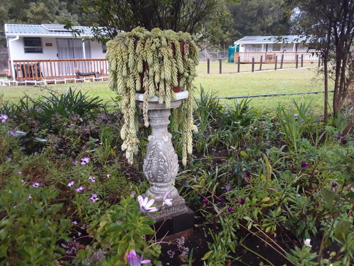 Nadine'S Self - Catering Accommodation Stormsrivier Bagian luar foto